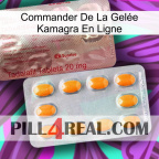 Commander De La Gelée Kamagra En Ligne new13